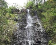 A Guide to the Ka’au Crater Hike